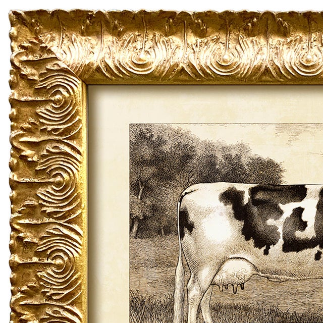 Reproduction Art Print of Vintage Holstein (2) Cow in Ornate Gold Frame For Sale - Image 4 of 5