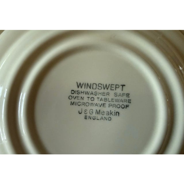 Mid 20th Century Small J&g Meakin Plates From Staffordshire - Set of 10 For Sale - Image 9 of 10
