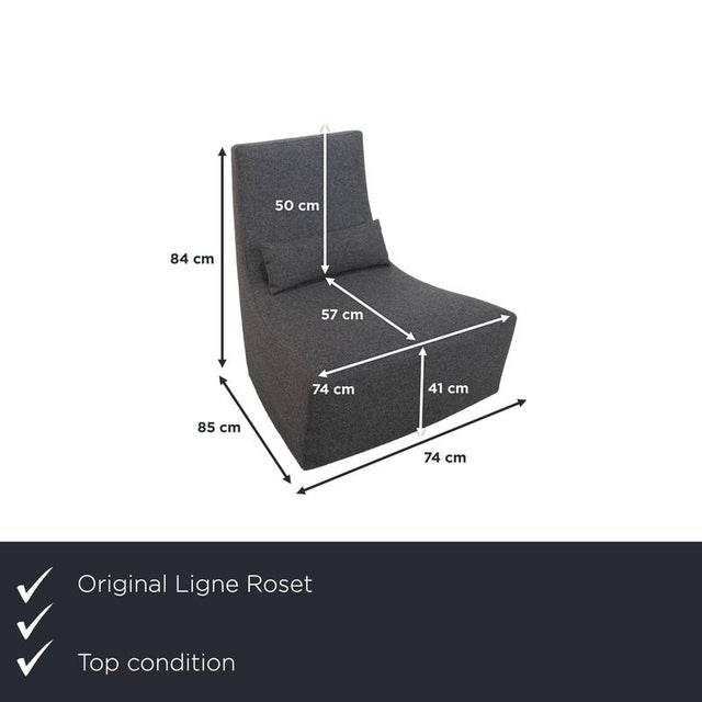 with this armchair from Ligne Roset, you'll bring a stylish piece of furniture into your living room, instantly catching...