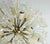 Mid-Century Dandelion Chandelier in Brass and Glass, 1950s For Sale - Image 6 of 11