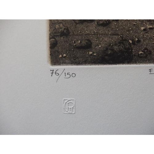 Mordecaï Moreh, Eternity of a Zebu, Etching For Sale - Image 4 of 6