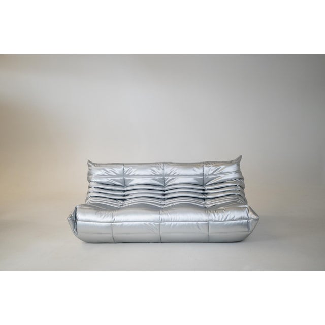 1970s Togo Living Room Set in Silver Fabric by Michel Ducaroy for Ligne Roset, 1979, Set of 5 For Sale - Image 5 of 13
