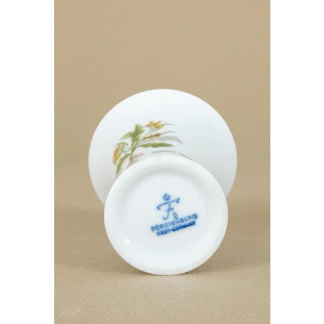 1980s Diplotaxis Muralis Vase from Fürstenberg Porzellan, 1980s For Sale - Image 5 of 7