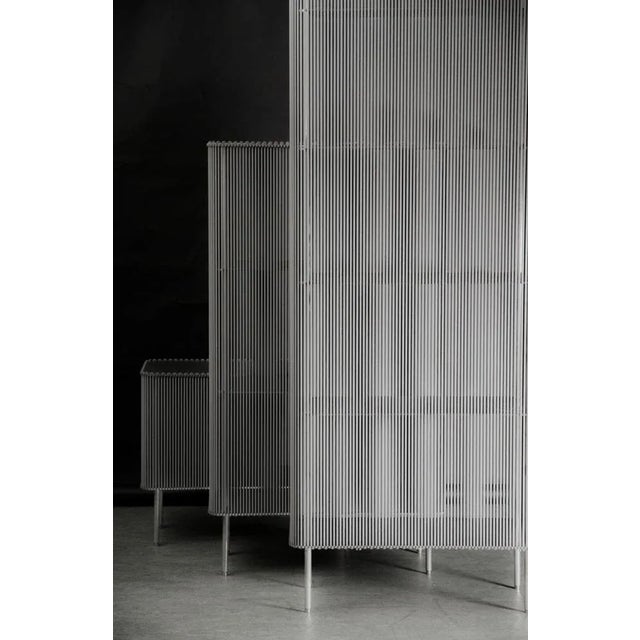 Coil #3 Cabinet by Bram Kerkhofs For Sale - Image 11 of 12