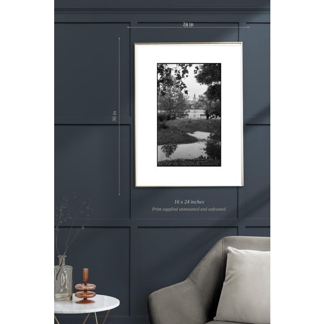 Not Yet Made - Made To Order Paul Cooklin, Swans on the Vltava River, Edition of 50 For Sale - Image 5 of 7