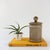 This vintage opaline glass jar with lid, produced in the 1960s in Marinha Grande, Portugal, is a sophisticated example of...
