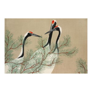 Cranes, Kamisaka Sekka, Japanese Woodblock Art Print Reproduction, 36" × 24"