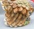 Vintage Ceramic Turkey Cookie Jar With Berry Detail – Thanksgiving / Fall / Country Cottage For Sale - Image 10 of 15