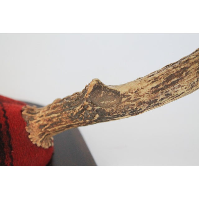 Wood Vintage 8-Point Whitetail Deer Curved Antlers Taxidermy Mount For Sale - Image 7 of 11