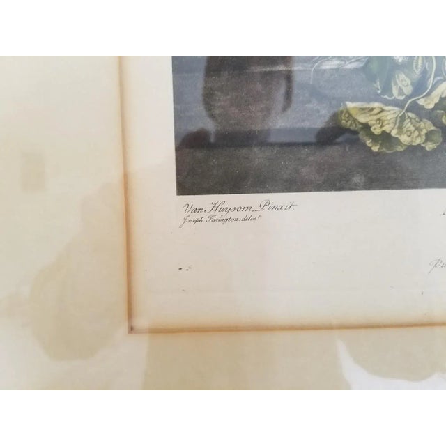 Illustration "A Flower Piece in the Cabinet at Houghton" Original Print by Richard Earlom For Sale - Image 3 of 8