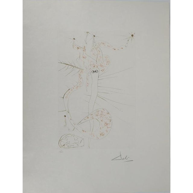 Black Salvador Dali, Tristan the Madman, 1970, Engraving For Sale - Image 8 of 8