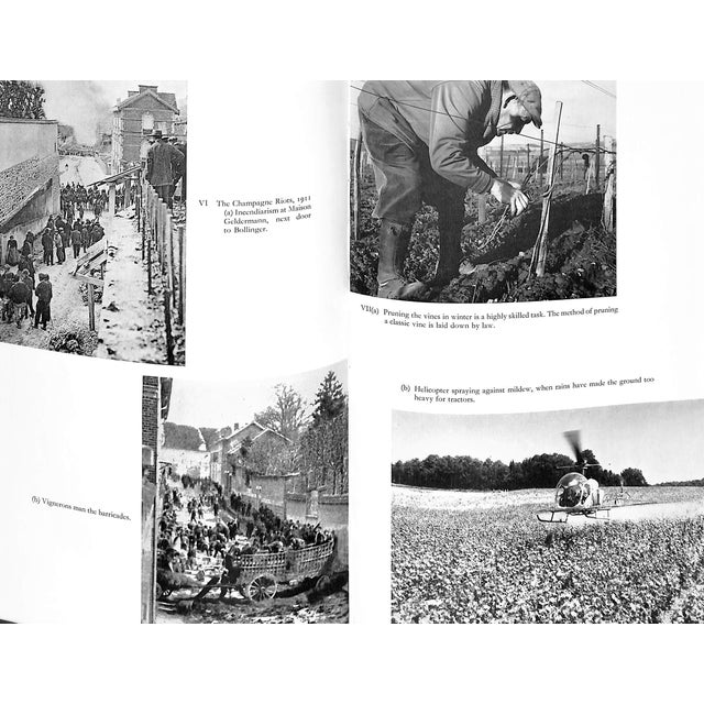 "Bollinger: The Story of a Champagne" 1971 Ray, Cyril For Sale - Image 12 of 12