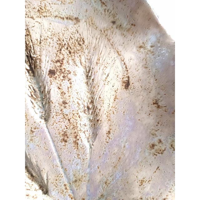 Contemporary Pink Spikes Plate by Daniela Proietti For Sale - Image 3 of 6