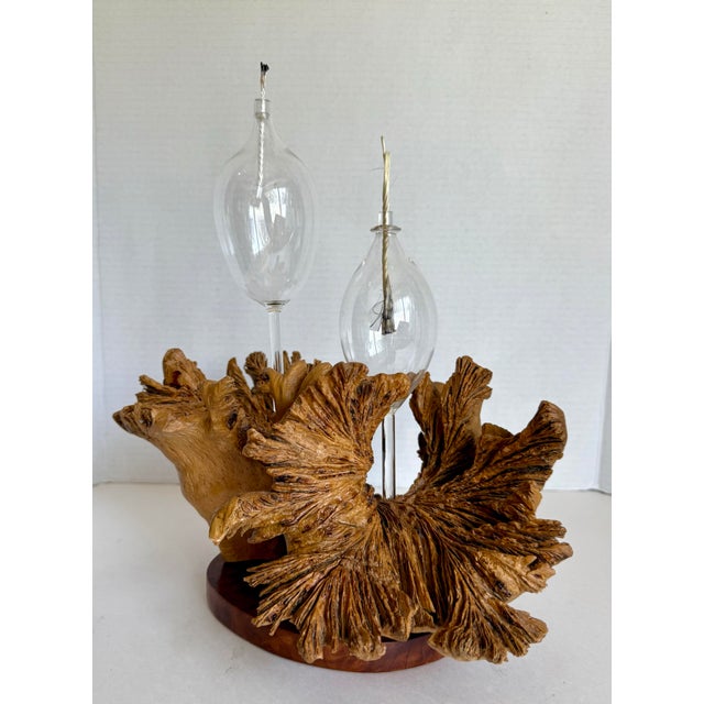 Contemporary 1970s Organic Modern Burl Wood Sculptural Double Oil Lamp Centerpiece For Sale - Image 3 of 11