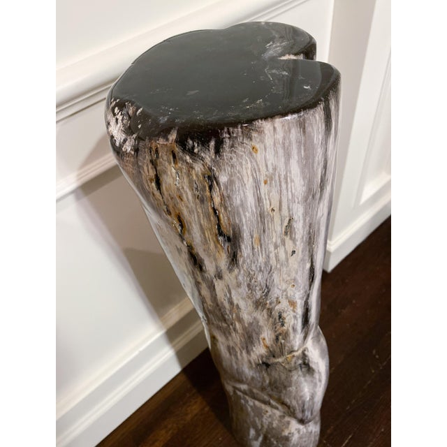 Beautiful antique petrified wood sculpture; could be used a pedestal or left stading or laid on its side as a sculpture...