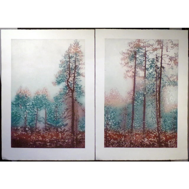 1980s "Hollister Ranch I and II" Landscape Etchings by Catherine O'Connor - a Pair For Sale - Image 12 of 12