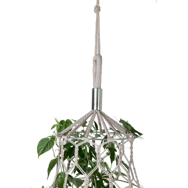 Lucille Grand Natural Flower Cocoon by LLOT LLOV For Sale - Image 4 of 6