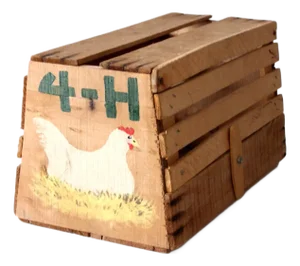 Vintage Handmade 4-H Chicken Carrier Crate