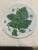 Mottahedeh 1990s 8 Magnificent Mottahedeh Porcelain Dinner Plates in Exotic Plant Pattern For Sale - Image 4 of 12
