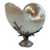 Vintage Natural Nautilus Shell on Silver Faux Coral Stand For Sale