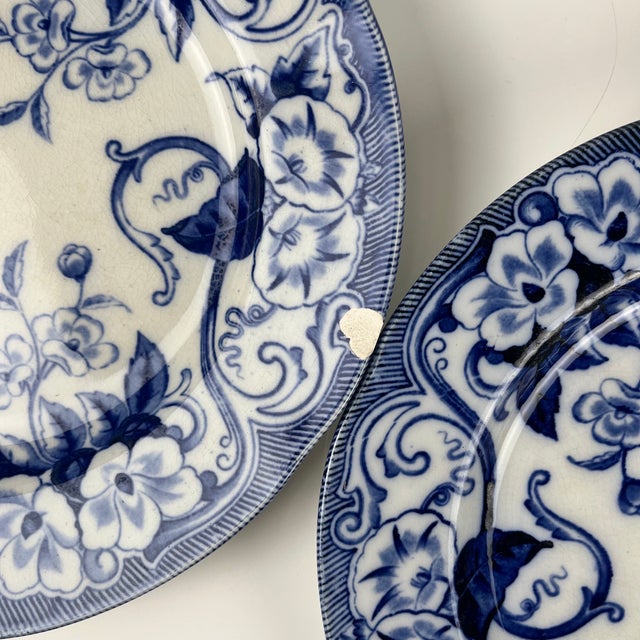 Antique Flora Ironstone Dinner Plates from Creil and Montereau, 1800s, Set of 6 For Sale - Image 12 of 13