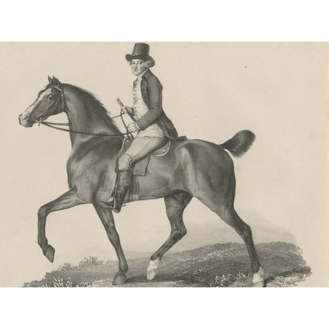 Gold Maxim Gauci, Regency Horse & Rider Portrait, Lithograph, 1840 For Sale - Image 8 of 10