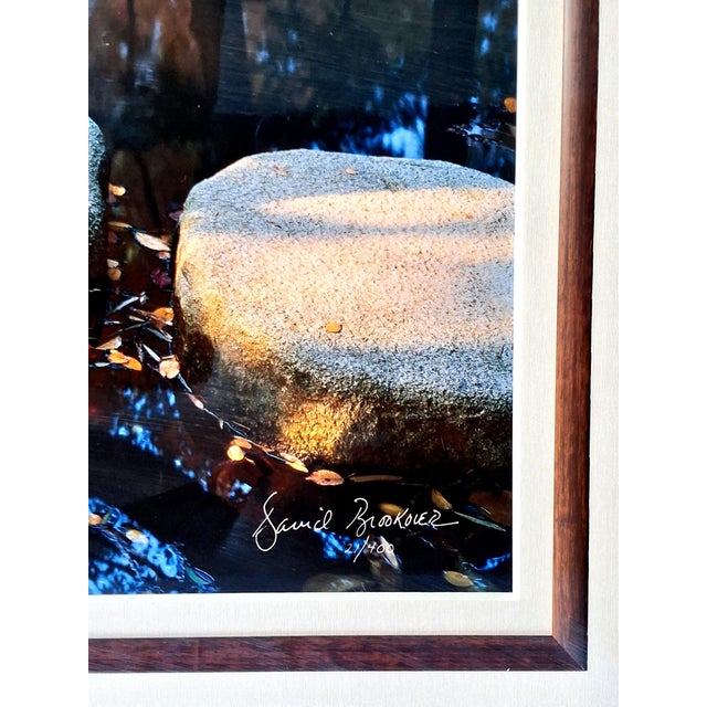1990s David Brookover Framed Large-Format Photograph, 'Steps to Still Water' 21/400 For Sale - Image 9 of 10