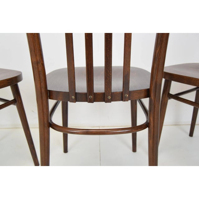 Mid-Century Chairs from TON, 1960s, Set of 3 For Sale - Image 12 of 14