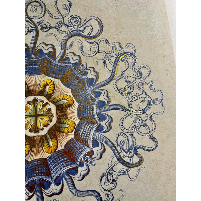 2000 - 2009 Contemporary Original Jellyfish Peromedusae Art Print For Sale - Image 5 of 8
