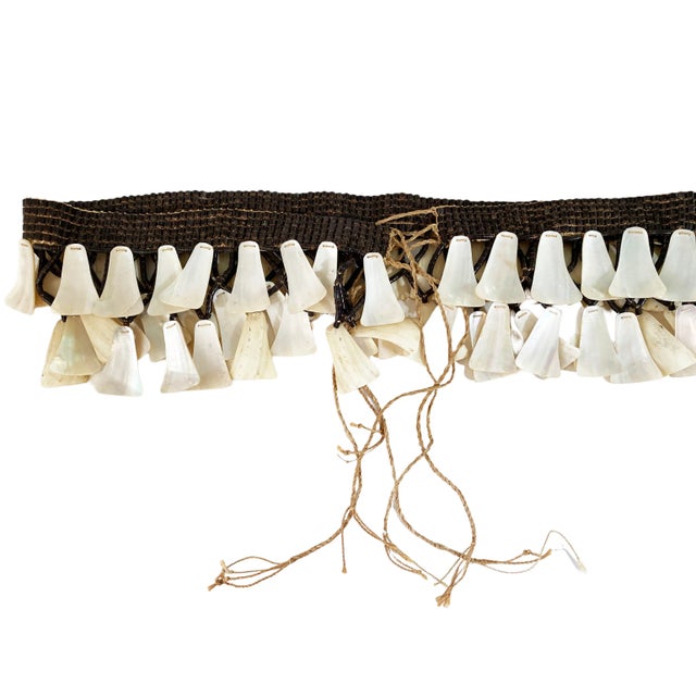 Unique Ornamental Piece Brazilian by the Mamaindê Tribe 49" W For Sale In New York - Image 6 of 13