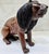 Vintage African Hand-Carved Hardwood Lion Sculpture by Nguma For Sale - Image 4 of 10