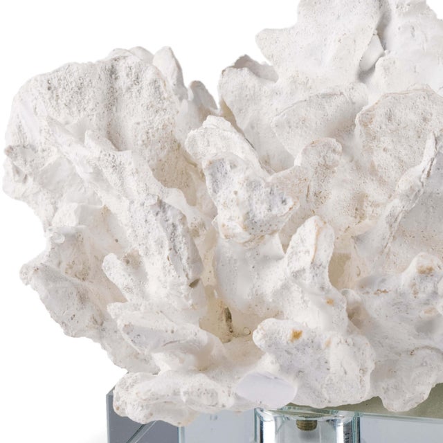 A resin replica of flower coral is placed on an acrylic base for a sophisticated, nature-inspired accent. Add this to a...