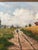 Antique Original Landscape Cottage Oil Painting: Framed Nature Art For Sale - Image 10 of 14