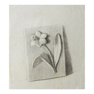Antique Pencil Drawing Study of Daffodil Architectural Tile Relief For Sale