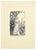 Image dimensions: 15.8 x 9.8 cm. Printemps is an original artwork realized by Jacques Beltrand in 1899. Original woodcut...
