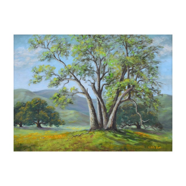 Vivid and bright, this summer landscape of California oaks in Monterey county is by Corralitos, California artist Oleta...