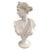Metal Diana Chasseresse Bust, 20th Century For Sale - Image 7 of 7