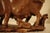 Chinoiserie Antique Late Qing Chinese Shoushan Soapstone Sculpture of a Sow With Piglets, Signed For Sale - Image 3 of 17