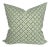 Serendipity Green Decorative Pillow Cover, 20x20 Pillow For Sale