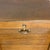 Vintage Roller Shutter Cabinet in Dark Oak, 1950s For Sale - Image 10 of 12