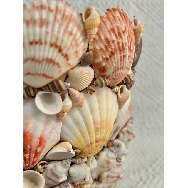 2020s Contemporary Coastal Grotto Palm Beach Shell Encrusted Planter For Sale - Image 5 of 9