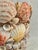 2020s Contemporary Coastal Grotto Palm Beach Shell Encrusted Planter For Sale - Image 5 of 9
