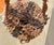 Traditional Mid 20th Century Koteka From Papua New Guinea For Sale - Image 3 of 8
