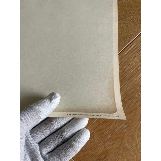 Franciszek A. B. Bilberstein-Starowieyski, Lokis, Wittembacha, 1970s, Print For Sale - Image 3 of 8