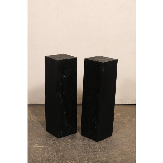 19th Century 19th Century Indonesian Carbonized Ironwood Pedestal Columns – A Pair For Sale - Image 5 of 12