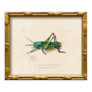 Vintage "Garden Friends" Art Print (1), Framed Cricket For Sale