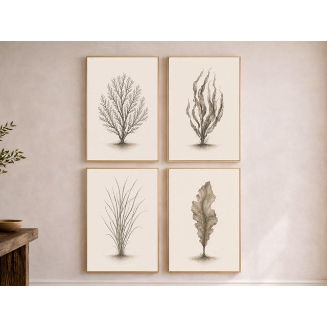 A refined coastal botanical collection featuring four complementary studies: a structured coral form, flowing seaweed,...