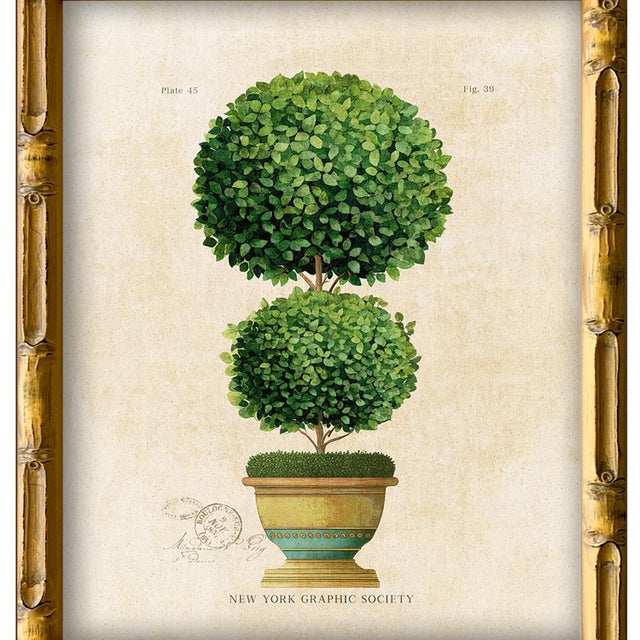 Illustration Framed Reproduction Vintage "Topiary Garden (3)" Art Print For Sale - Image 3 of 5