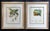Ten Hand-Colored Color Stipple Engravings From Traite Des Arbres Fruitiers For Sale - Image 4 of 13