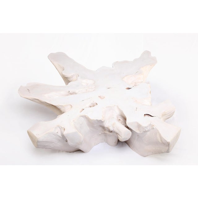 Contemporary Organic Teak Root Coffee Table 74-White Wash For Sale - Image 3 of 6